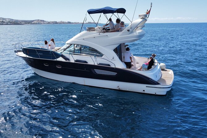 Private Luxury Motor Boat 2, 3 and 4 Hour Charters - Wildlife Watching: What You Might See, and What You Should Expect
