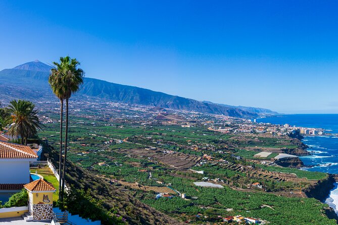 Private nature and culture tour of Teide and northern Tenerife - What a private tour with Antonio actually changes