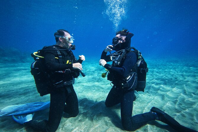 Private Scuba Diving in Tenerife – Certified Instructor & Photos - Los Cristianos: Why this area works so well for first-timers