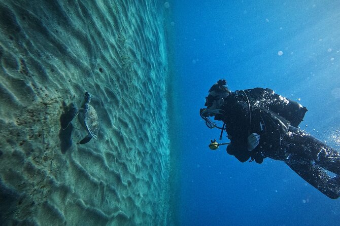 Private Scuba Diving in Tenerife – Certified Instructor & Photos - Pickup and the air-conditioned van: how the day starts