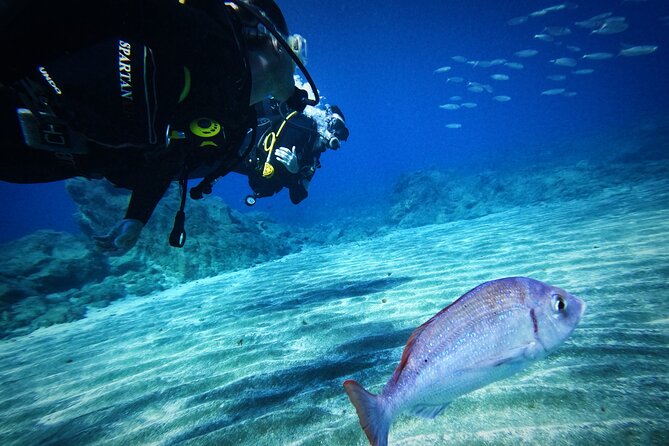 Private Scuba Diving in Tenerife – Certified Instructor & Photos - Shore entry and the first steps: what to expect on land
