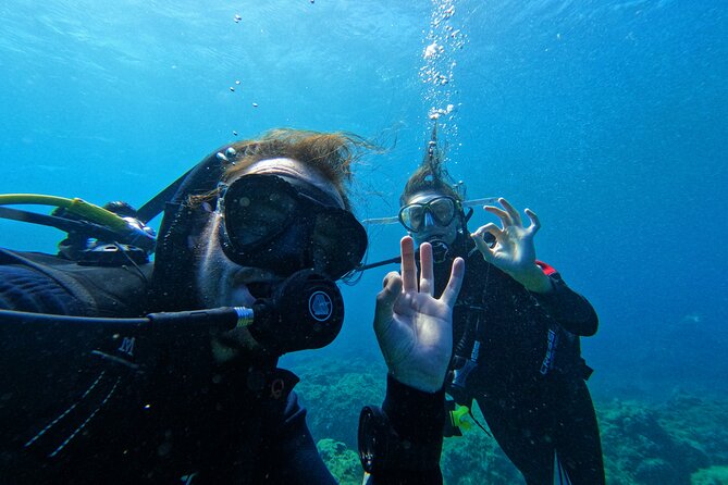 Private Scuba Diving in Tenerife – Certified Instructor & Photos - Underwater time: 30 minutes of guided exploration