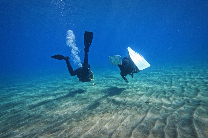 Private Scuba Diving in Tenerife – Certified Instructor & Photos - Photos and videos: free underwater proof you’ll want later