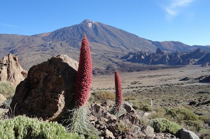 Private VIP Tour Tenerife Magic Circle - Garachico, Tenerife’s first capital moment
