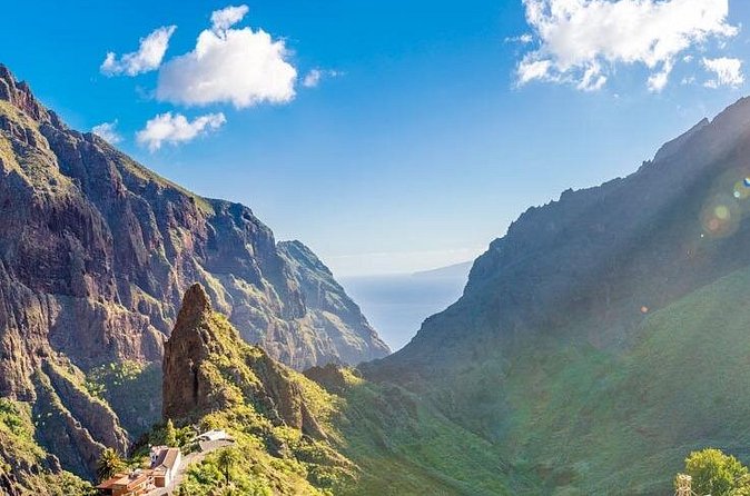 Private VIP Tour Tenerife Magic Circle - El Drago Milenario: meeting a living legend