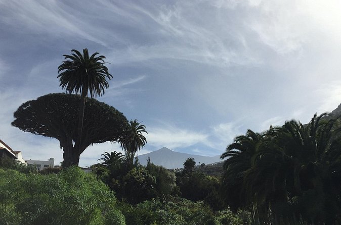 Private VIP Tour Tenerife Magic Circle - Masca Valley and the pirate-founded village feel