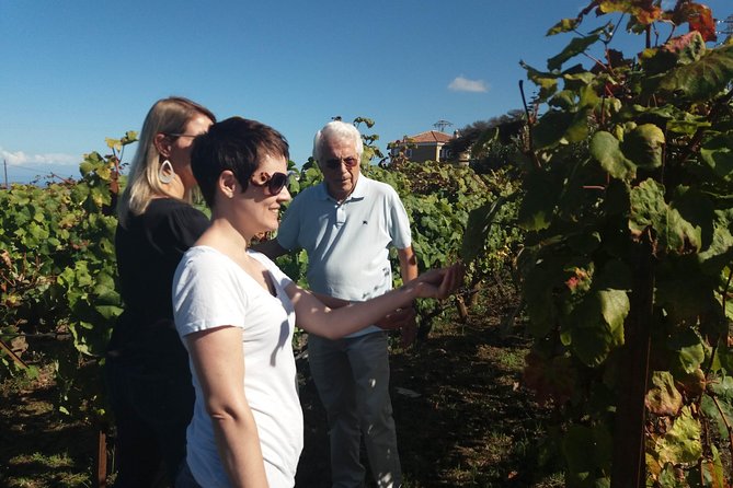 Private Wine Tasting Tour - Cost and Value: What $355.75 Per Person Is Actually Buying