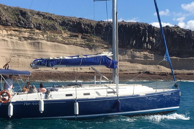 Private Yacht Tour With Whale and Dolphin Watching 42 Foot Boat - The sonar-and-skipper approach to whale and dolphin watching