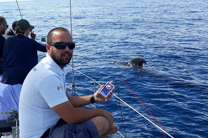 Private Yacht Tour With Whale and Dolphin Watching 42 Foot Boat - Price, group size, and whether it feels like a deal
