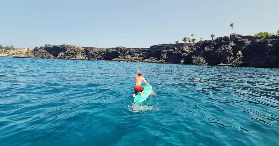 Private Yatch Amalfi Cinco - Las Galletas time on the water: dolphins, snorkeling, and marine life viewing