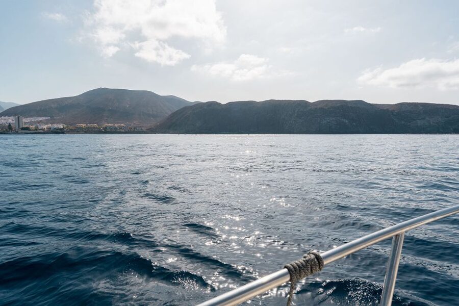 Puerto Colón: Coastal Boat Cruise with Swimming and Snacks - Why the Bellamar Cruise is a smart way to see Tenerife’s south from the water