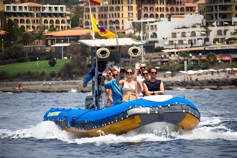 Puerto Colon: Dolphin and Whale Watching Speedboat Cruise - Key takeaways