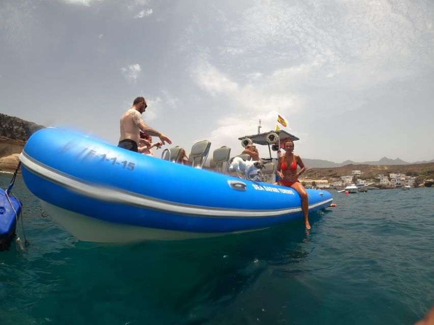 Puerto Colon: Dolphin and Whale Watching Speedboat Cruise - The 3-hour routing: back and forth cruising along the south coast