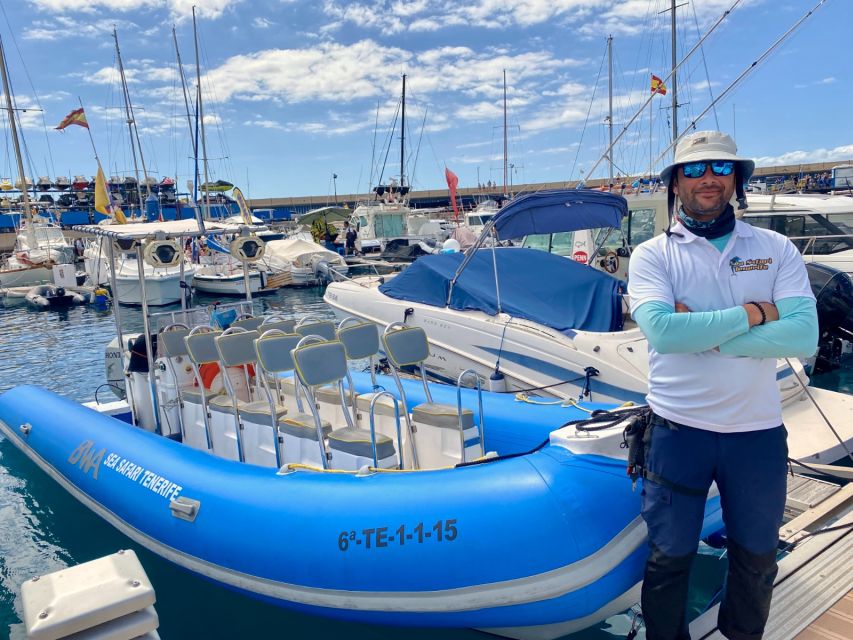 Puerto Colon: Dolphin and Whale Watching Speedboat Cruise - The bay swim stop: drinks, sandwich, snorkeling gear, and real break time