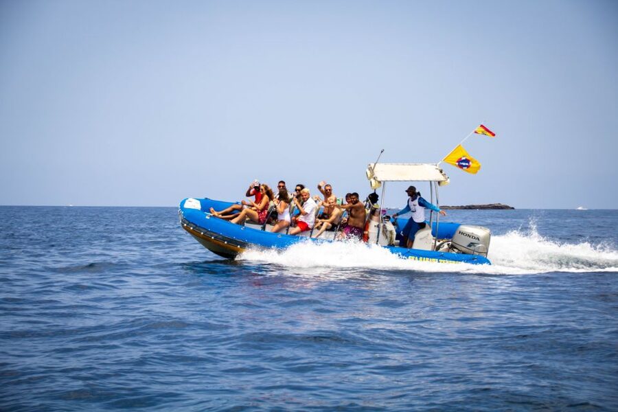 Puerto Colon: Dolphin and Whale Watching Speedboat Cruise - Practical tips for a comfy, confident sea day