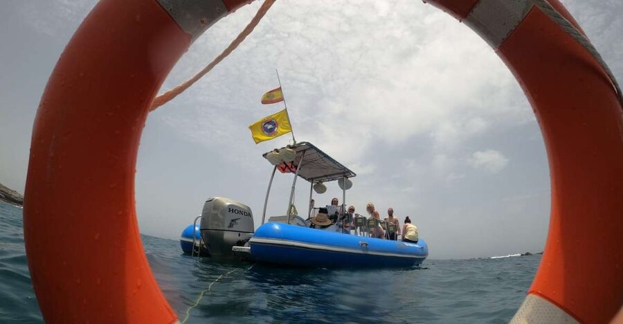 Puerto Colon: Dolphin and Whale Watching Speedboat Tour - Key Points to Know Before You Go