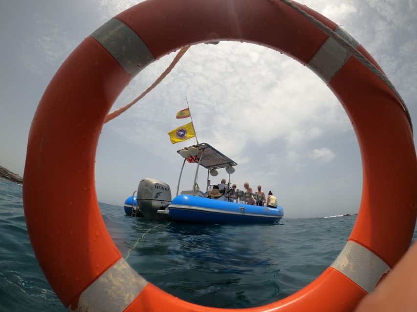 Puerto Colon: Dolphin and Whale Watching Speedboat Tour - What “Licensed Dolphin and Whale Watching” Means for You