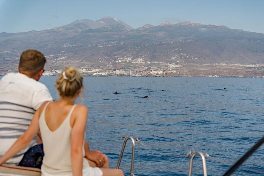 Puerto Colon: Whale and Dolphin Watching Yacht Trip - What to bring and how to prep so the day feels smooth