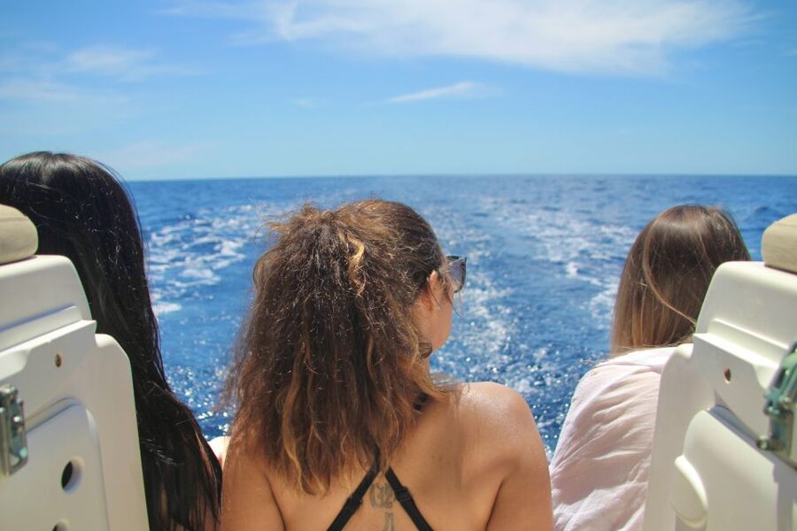 Puerto Colon : Whale & Dolphins Sailing Excursion - Tenerife whale watching starts with Puerto Colón and a sailboat day