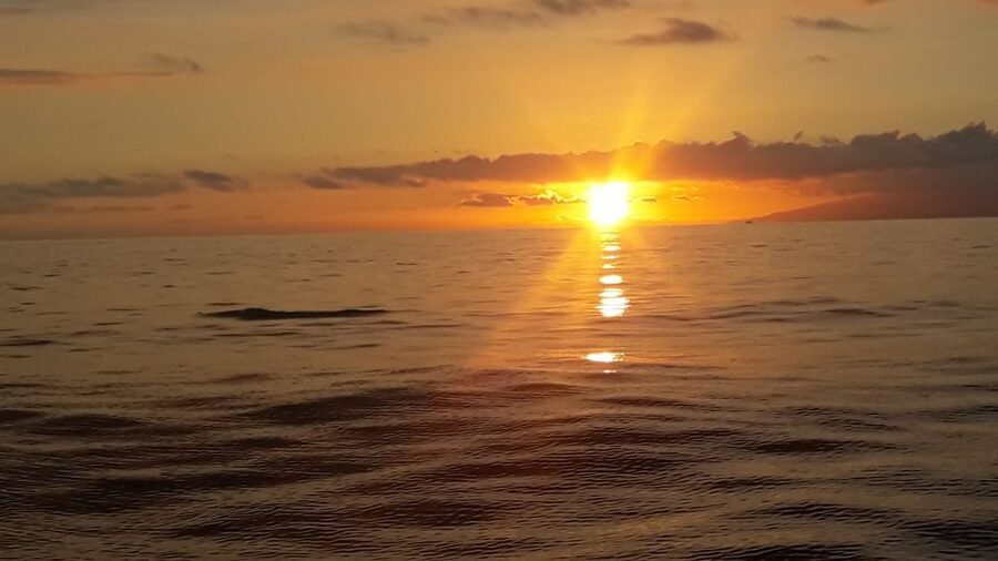 Puerto Colon: Whale-Watching Sailing Tour with Meal & a Swim - Meet Mola Mola 2 at Pantalan 1 and get your bearings fast