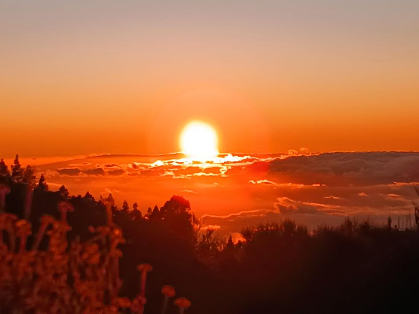Puerto Cruz: VIP Teide Sunset & Stars, Guachiche Lunch+Cava - Stargazing at Teide National Park: constellations and real night-sky contrast