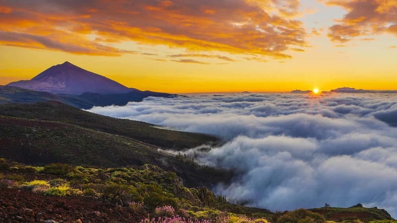 Puerto Cruz: VIP Teide Sunset & Stars, Guachiche Lunch+Cava - Guide and group dynamics: why it feels fun instead of technical