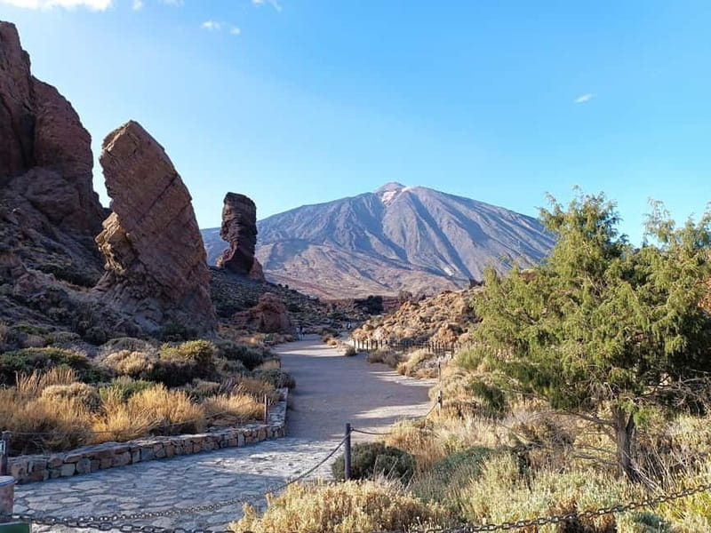 Puerto Cruz: VIP Teide Sunset & Stars, Guachiche Lunch+Cava - Puerto de la Cruz pickup and the van rhythm