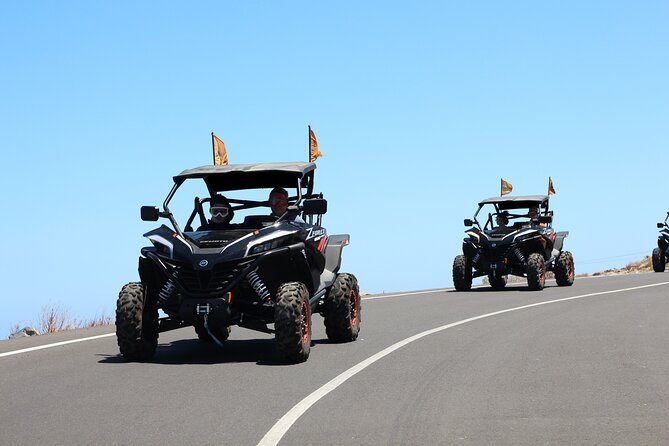 Puerto de la Cruz: Buggy Teide Day National Park - The Teide buggy day that trades crowds for control