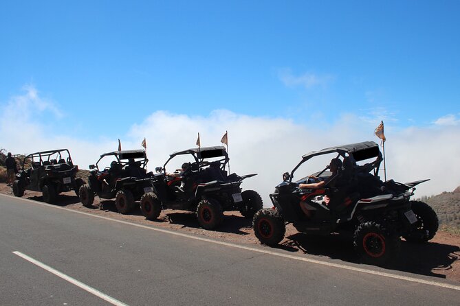 Puerto de la Cruz: Buggy Teide Day National Park - Stop 1: La Caldera at about 1,000 meters, a proper highland warm-up