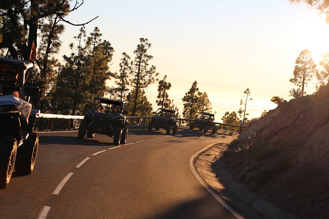 Puerto de la Cruz: Buggy Teide Day National Park - Price and value, what $237.09 per group really buys