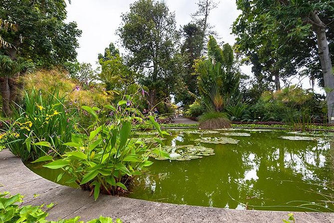 Puerto de la Cruz City Tour with Transfers - Playa Jardín and the promenade: beach time plus gardens, waterfalls, and caves