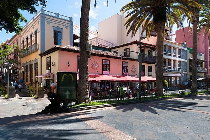 Puerto de la Cruz City Tour with Transfers - Comfort and timing tips that can save your mood