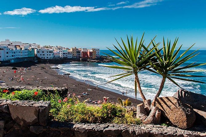 Puerto de la Cruz City Tour with Transfers - Price and value: what you’re really paying for