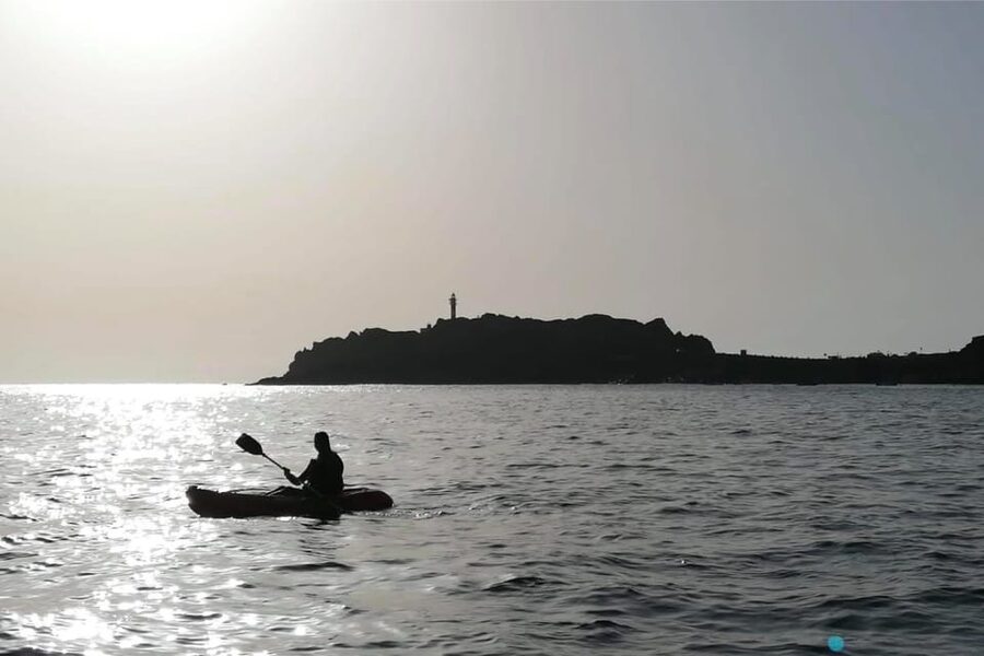Punta de Teno: Kayak Safari overlooking Los Gigantes Cliffs - Should You Book Punta de Teno Kayak Safari?