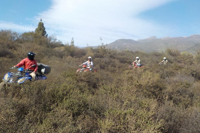 Quad Bike Safari - Small group, live guide, and why that matters on a quad tour