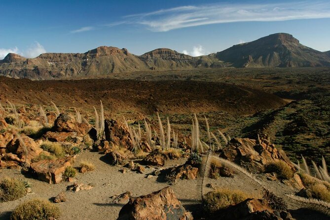Quad safari Teide National Park - Key things to know before you ride