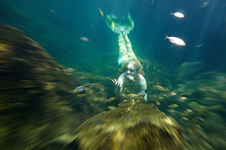 Radazul: Mermaid Experience and Photo Shoot - Key highlights that matter in real life