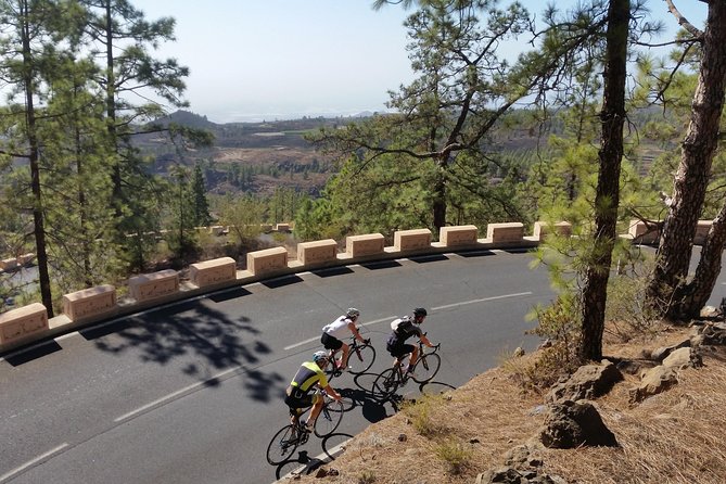 Road Cycling Tenerife - Teide Route - Starting at Playa de las Américas: Bike Setup and a Clean Launch