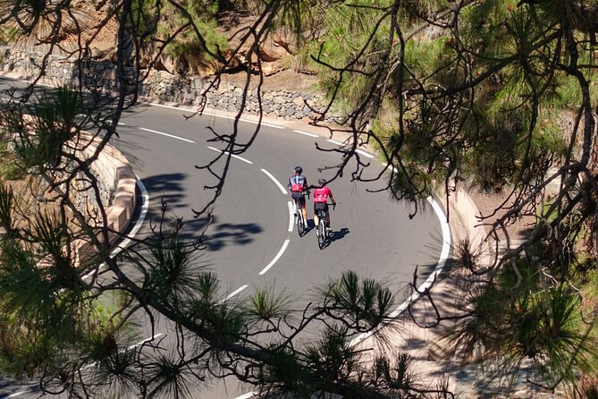 Road Cycling Tenerife - Vilaflor Route - The 4-Hour Experience, From Coast to Vilaflor and Back