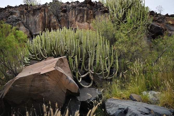 Rock climbing in natural space. - Climbing Up to 20 Meters: How Routes Match Your Ability