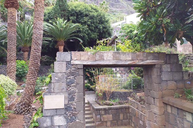 Round The Island Trip Without Teide VIP TOUR - Drago Milenario: The Old Tree That Makes Tenerife Feel Ancient