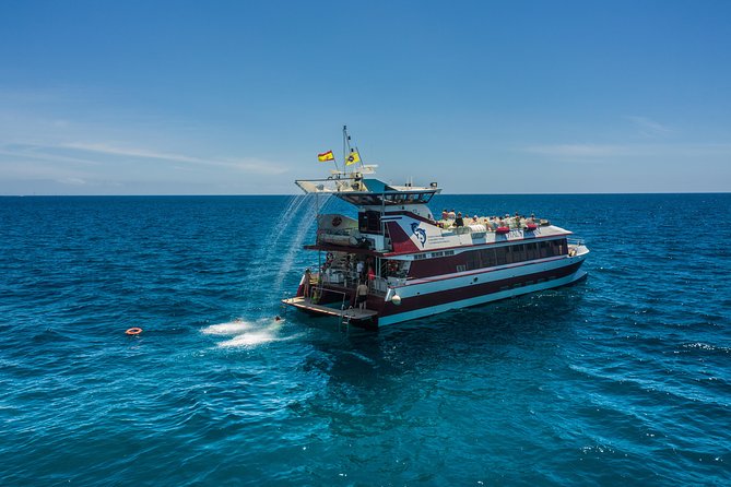 Royal Delfin 3H Dolphin & Whale Watching! Swimming & Lunch! - Underwater Views and the Submarine Vision Concept