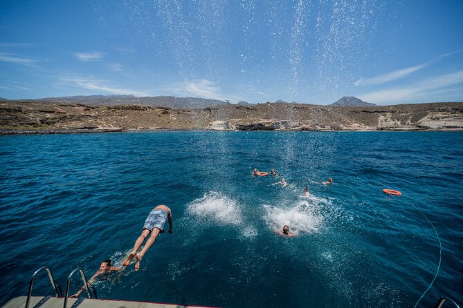 Royal Delfin 3H Dolphin & Whale Watching! Swimming & Lunch! - Crowd Levels, Deck Space, and How to Get the Best Views