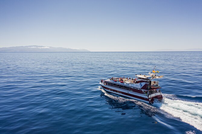 Royal Delfin - 4'5H Dolphin & Whale Watching - Los Gigantes Masca - Lunch & Swim - What You Are Really Buying on Royal Delfin