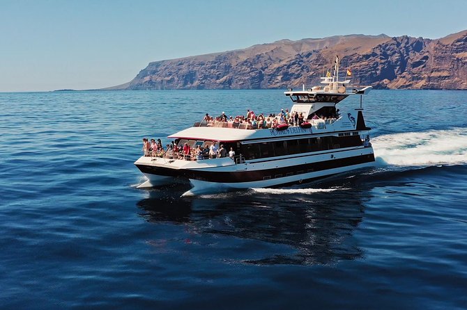 Royal Delfin - 4'5H Dolphin & Whale Watching - Los Gigantes Masca - Lunch & Swim - The Catamaran Ride and the Underwater Glass Windows