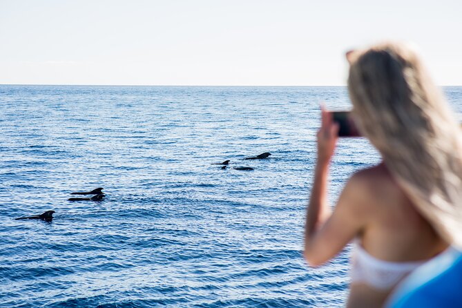 Royal Dolphin Whale watching excursion - The itinerary’s two parts: Catamaran time, then back to Puerto Colón