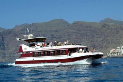 Royal Dolphin Whale watching excursion