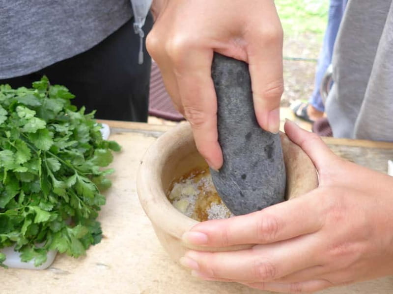 Rural Life Experience: Mojo Workshop and botanical Walk - Key highlights you should know