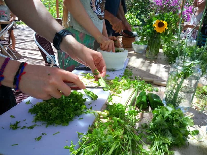 Rural Life Experience: Mojo Workshop and botanical Walk - Fields time: planting coriander and canary chilies