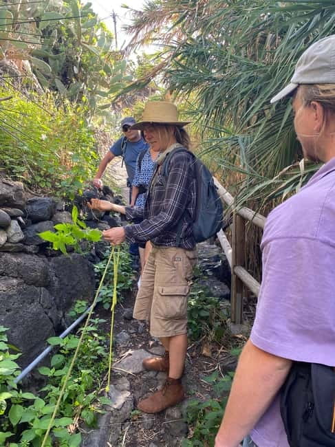 Rural Life Experience: Mojo Workshop and botanical Walk - Price and value: what $74 buys you in real terms